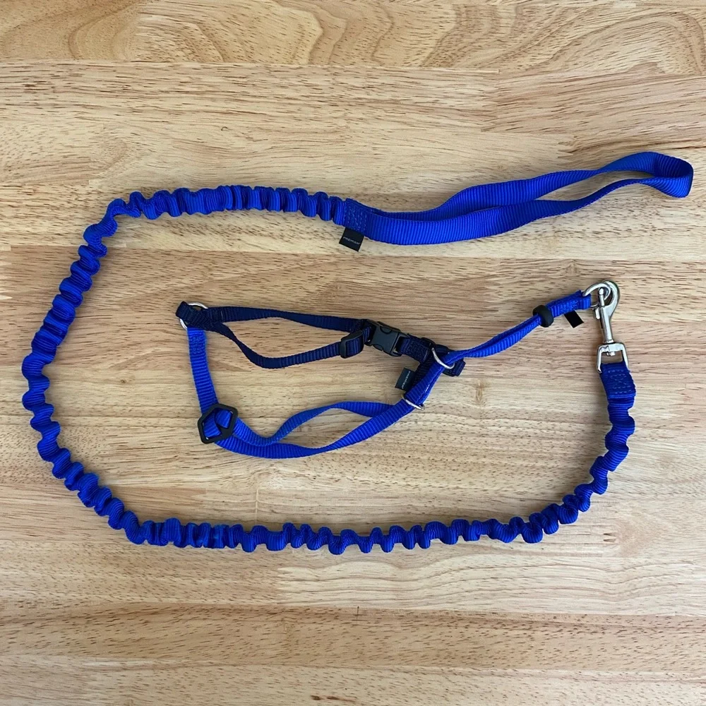 Premier Pet Safe Cat Bungee Leash and Harness